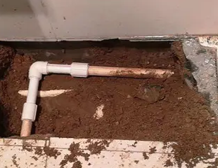 沧州市测漏水哪家好